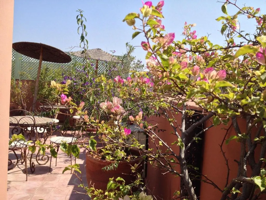 General view, Riad Mariana, Marrakech
