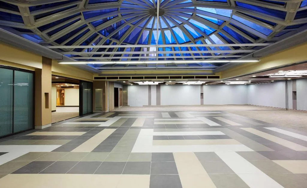 Conferences, Melia Castilla, Madrid