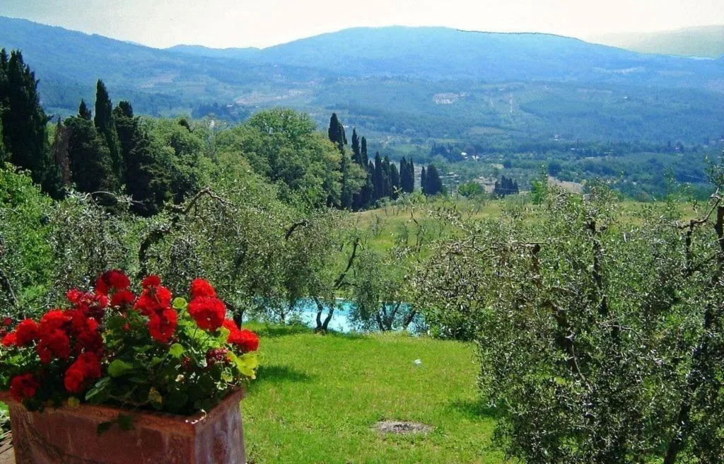 General view, Il Trebbiolo, Florence