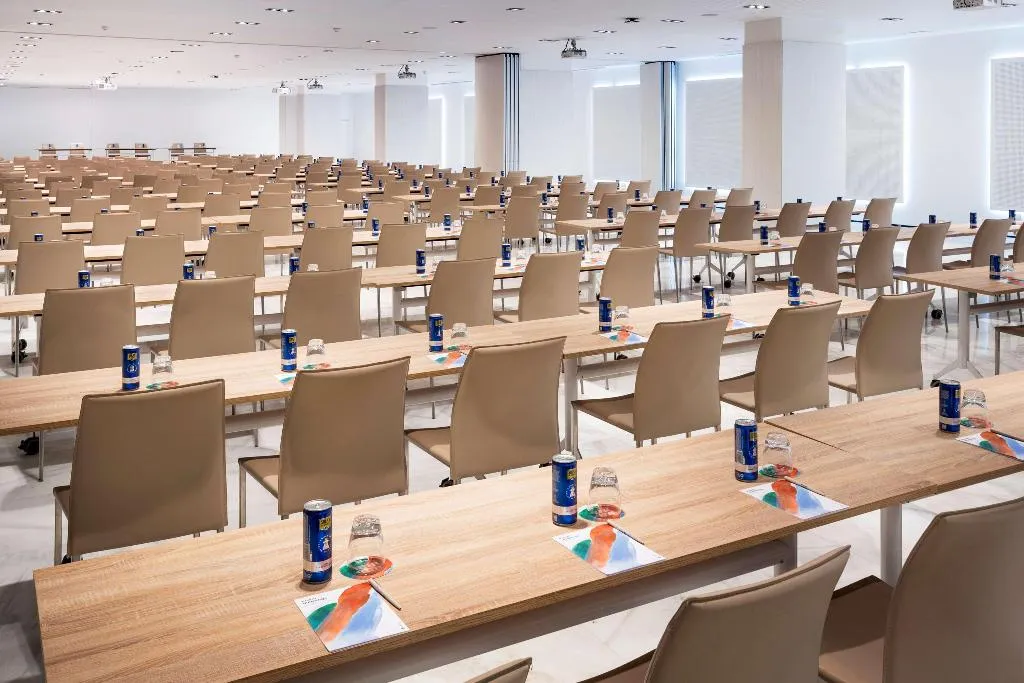 Conferences, Melia Lebreros, Seville
