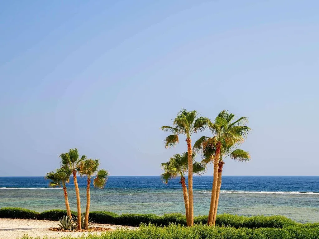 General view, Mövenpick Resort El Quseir, Red Sea Riviera