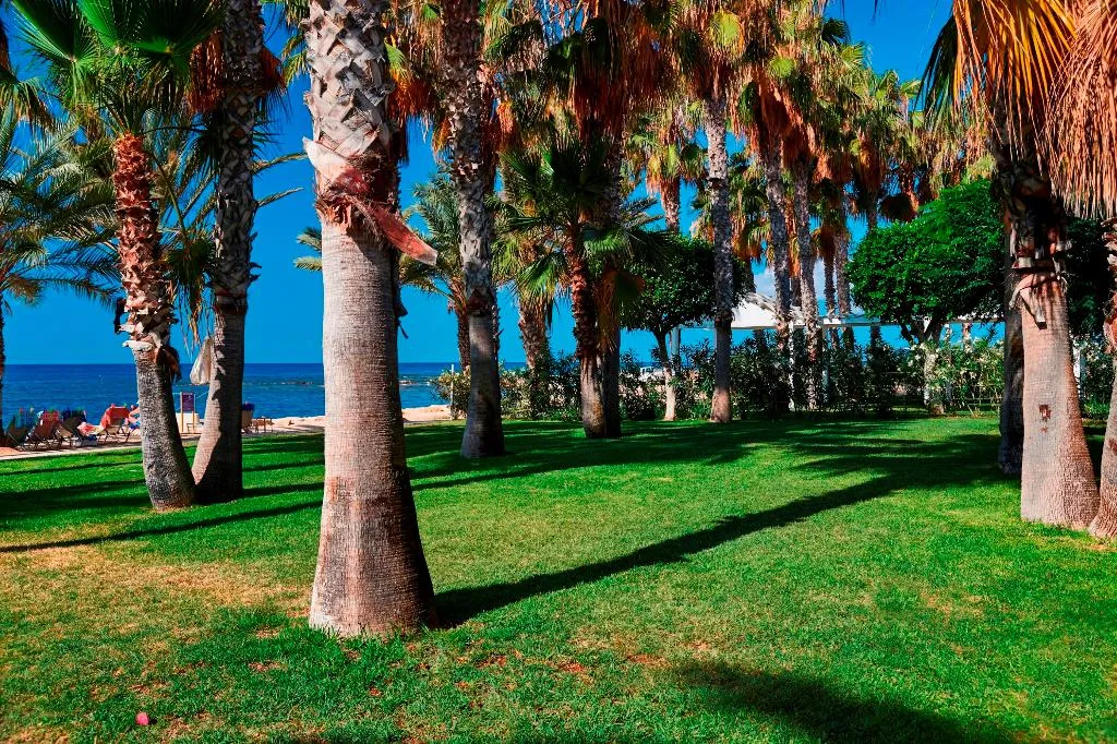 Beach, Louis Phaethon Beach, Cyprus