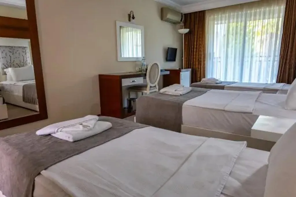 DOUBLE SINGLE USE ECONOMY Room, Sentinus Beach Hotel, Izmir