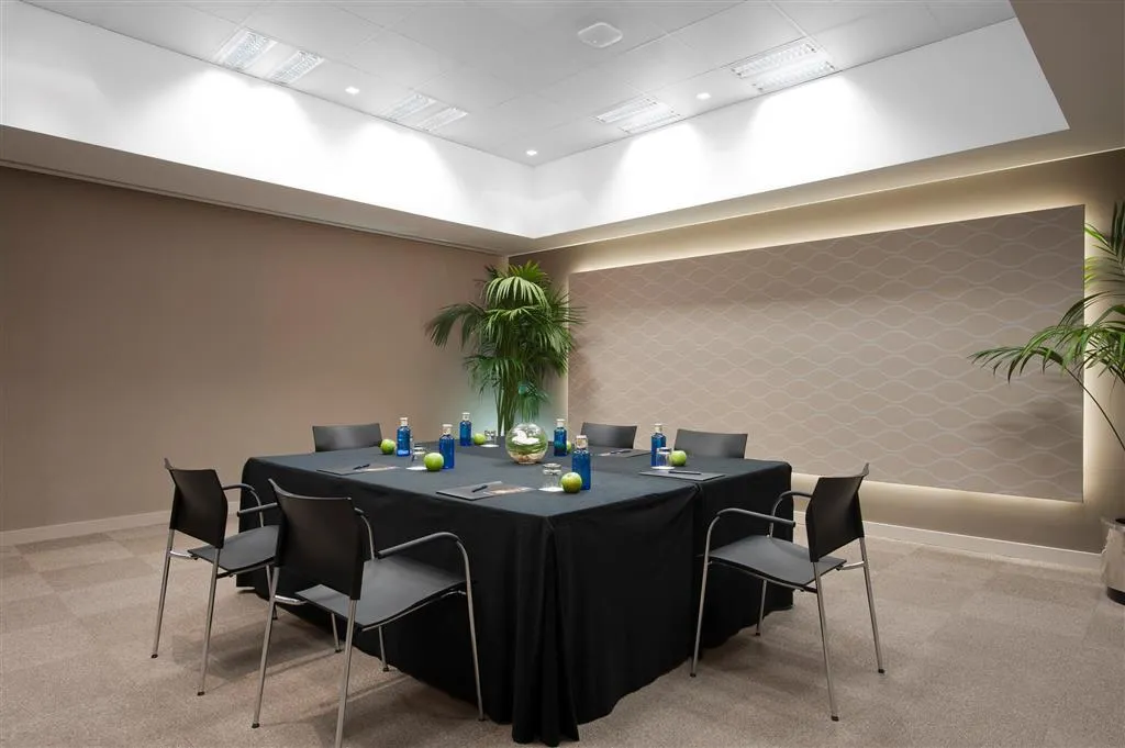 Conferences, Melia Castilla, Madrid