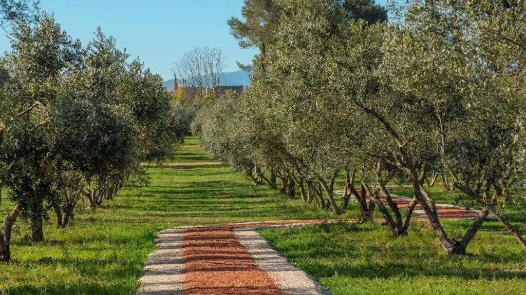 Sports and Entertainment, Finca Son Miranda, Majorca