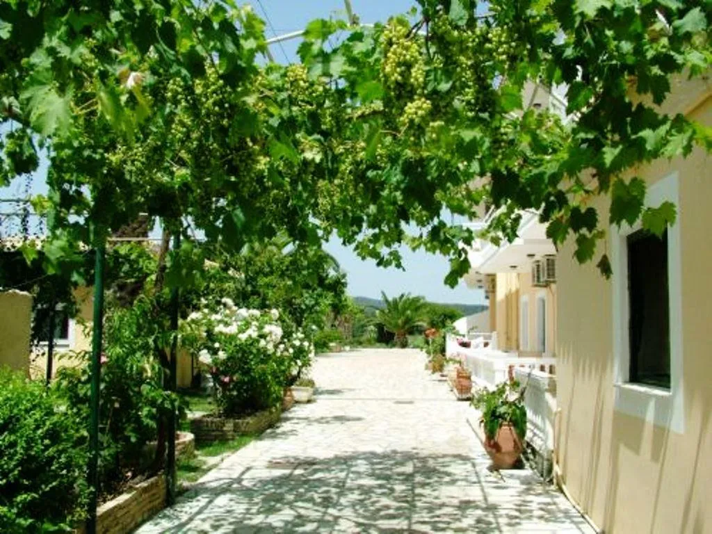 Terrace, Blue Sea  Argyrades Beach, Corfu