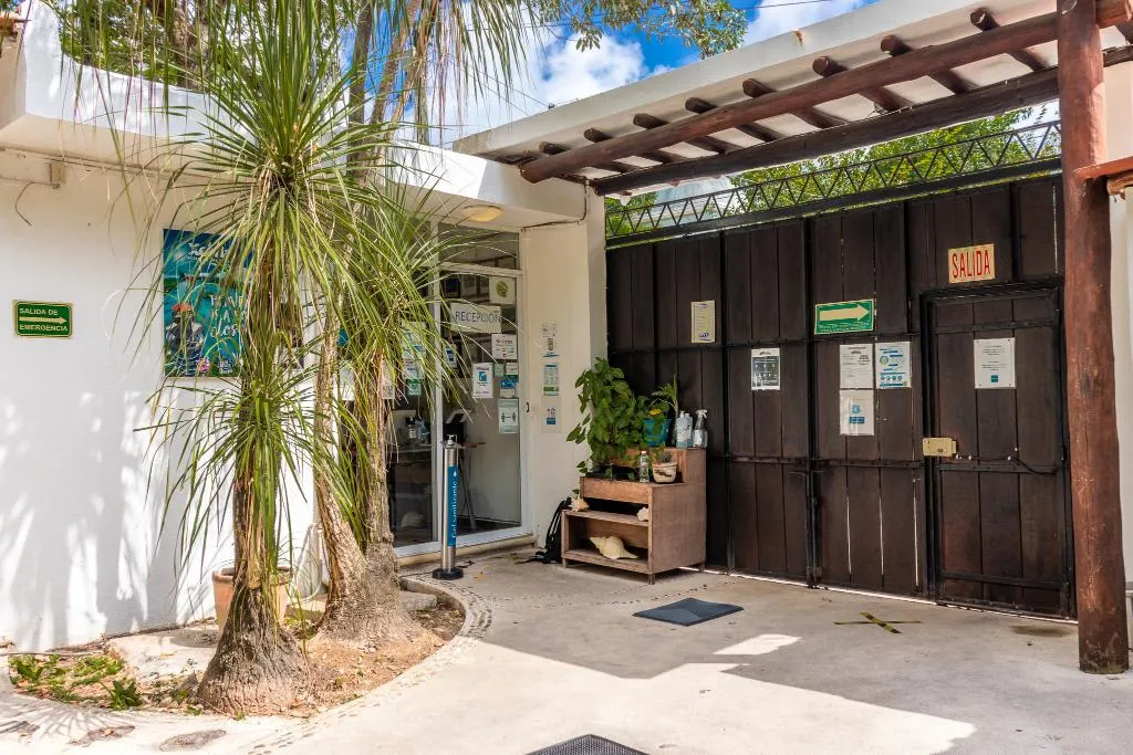 Lobby, Casaejido, Playa Del Carmen
