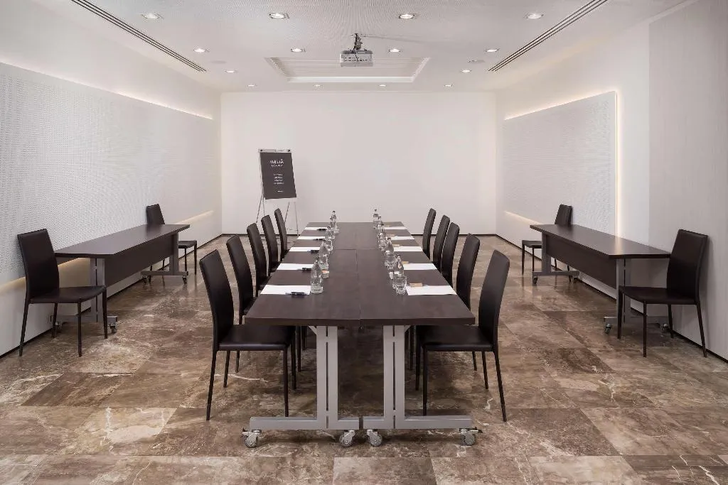 Conferences, Melia Lebreros, Seville