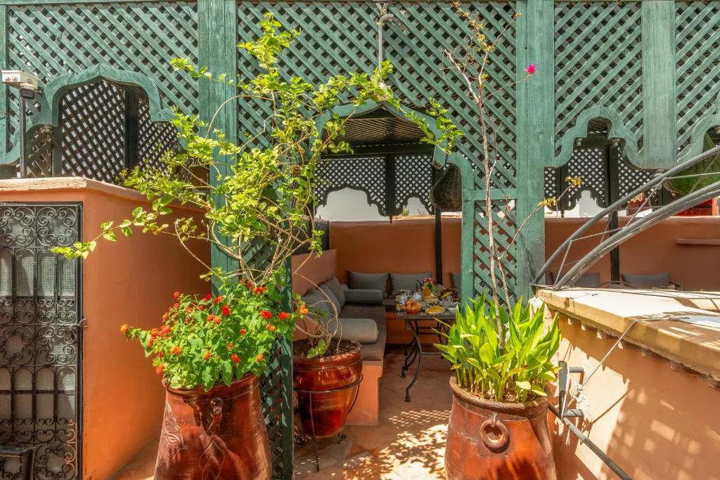 Terrace, Riad Saba, Marrakech