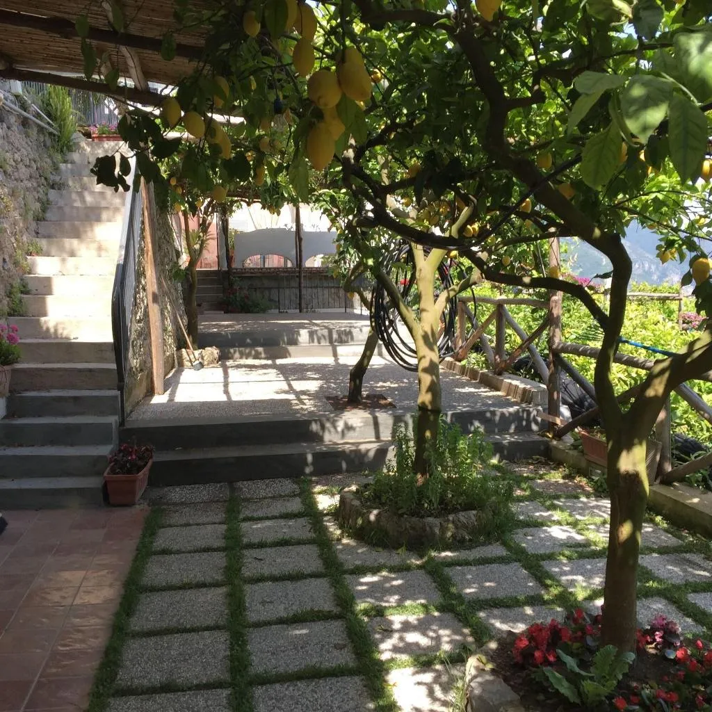 General view, B&B I Limoni, Naples