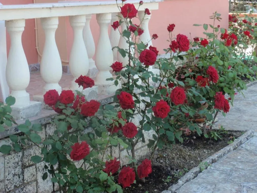 General view, Argo Hotel, Corfu
