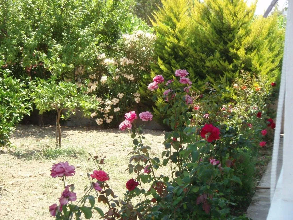 General view, Studio Stars, Zante
