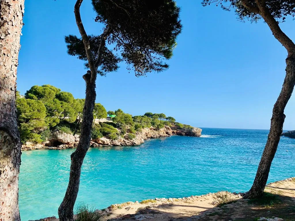 Beach, Calimera Fido Gardens - Family Hotel****, Majorca