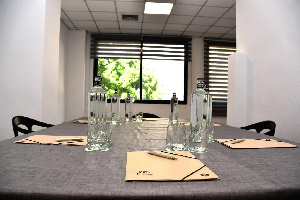Conferences, Hotel Turia, Valencia