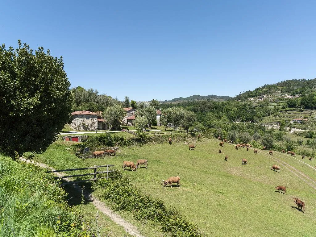 VILLA CLASSIC WITH BALCONY Room, Quinta Do Rapozinho, Porto