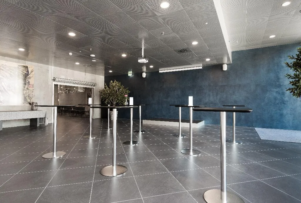 Conferences, Cabinn Apartments, Copenhagen