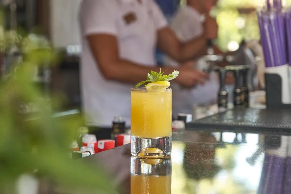 Bar, Seaden Sea Planet Resort & Spa, Antalya