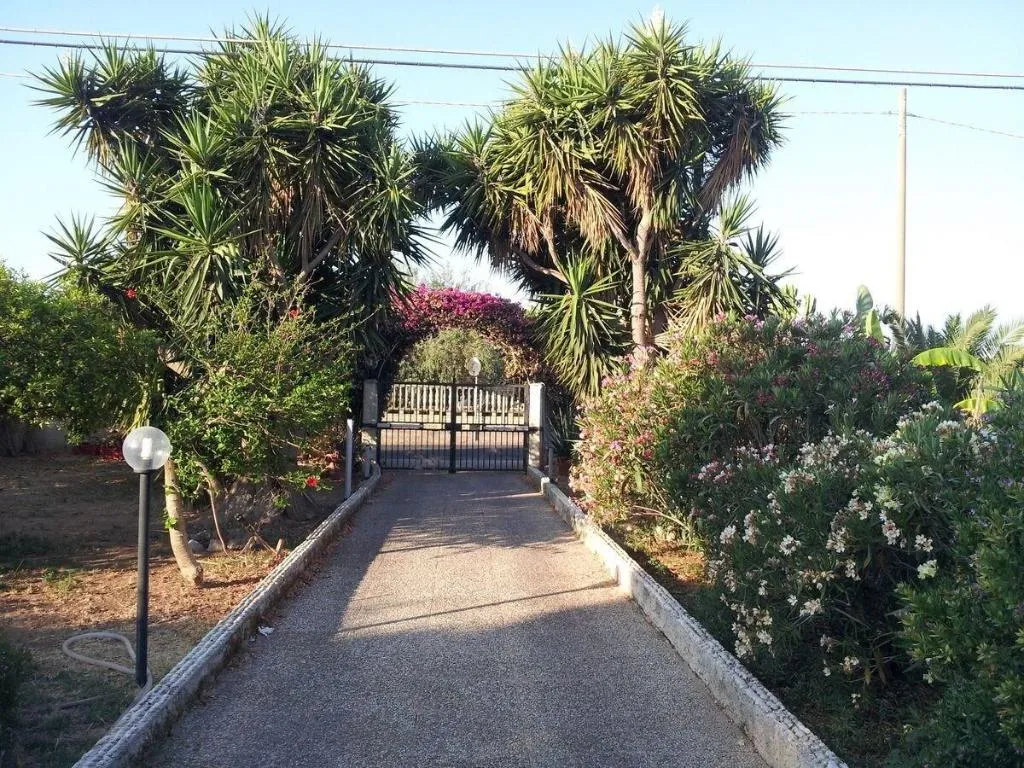 General view, Bouganvillea, Catania