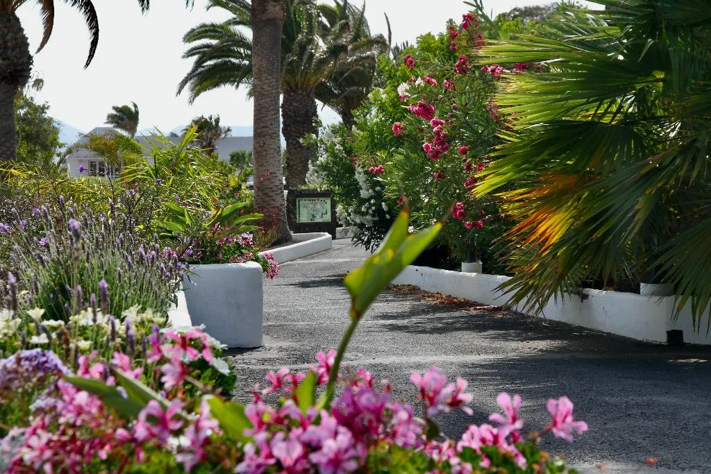 General view, Casas Heddy, Lanzarote