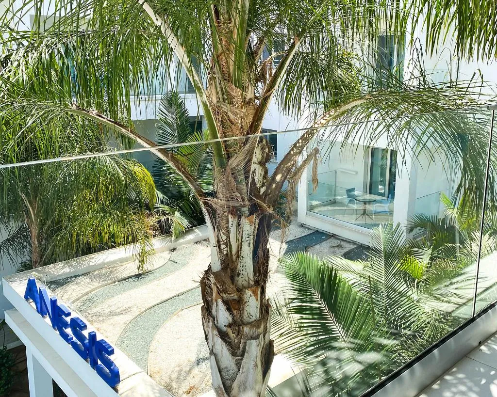 Double or Twin STANDARD Room, Anesis Hotel, Cyprus