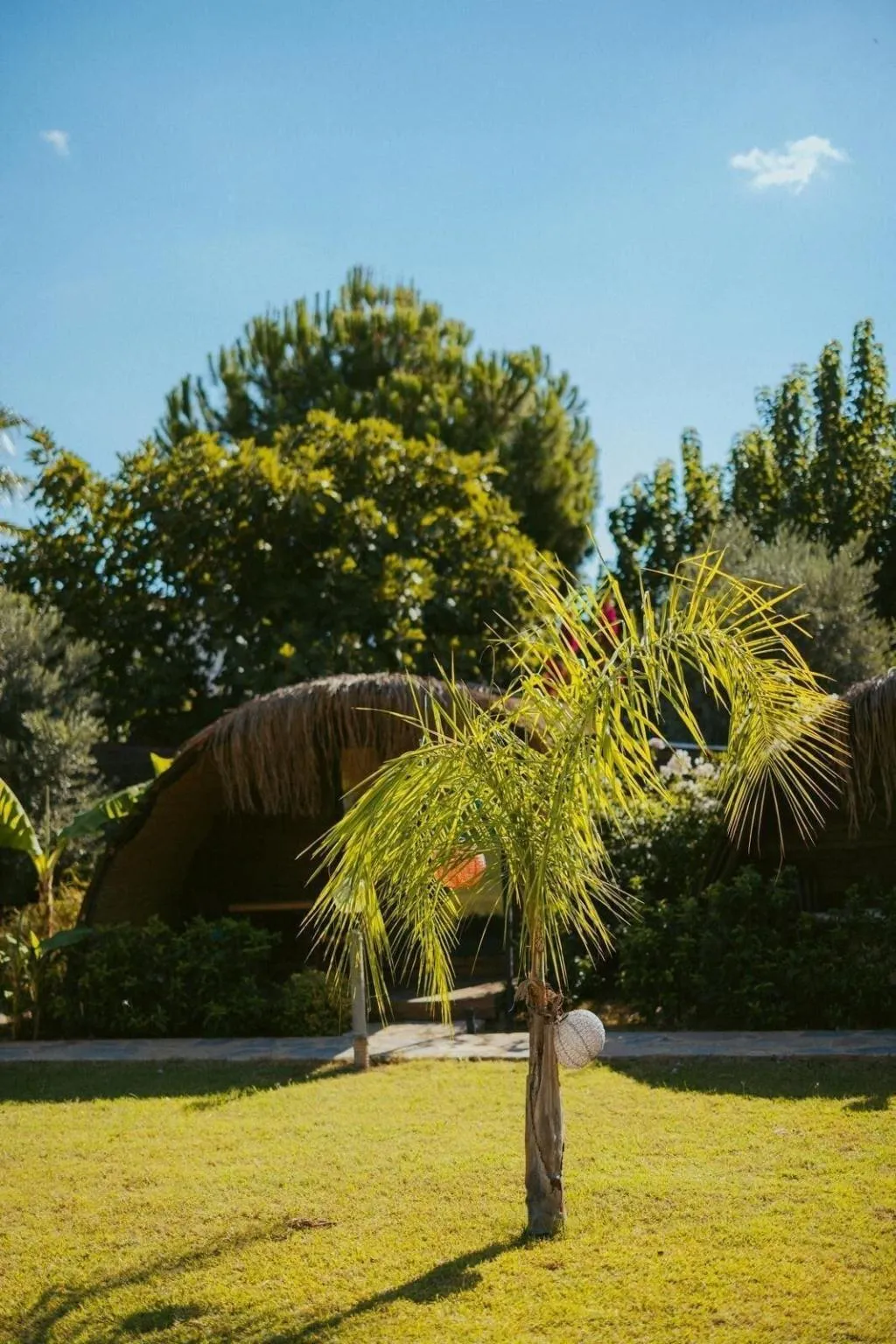 General view, Turkuaz Bungalows, Antalya