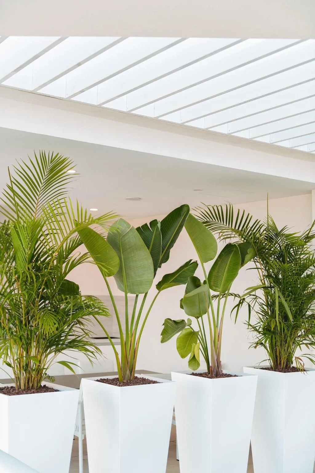 Room, Grand Horizon Resort Boutique, Gran Canaria