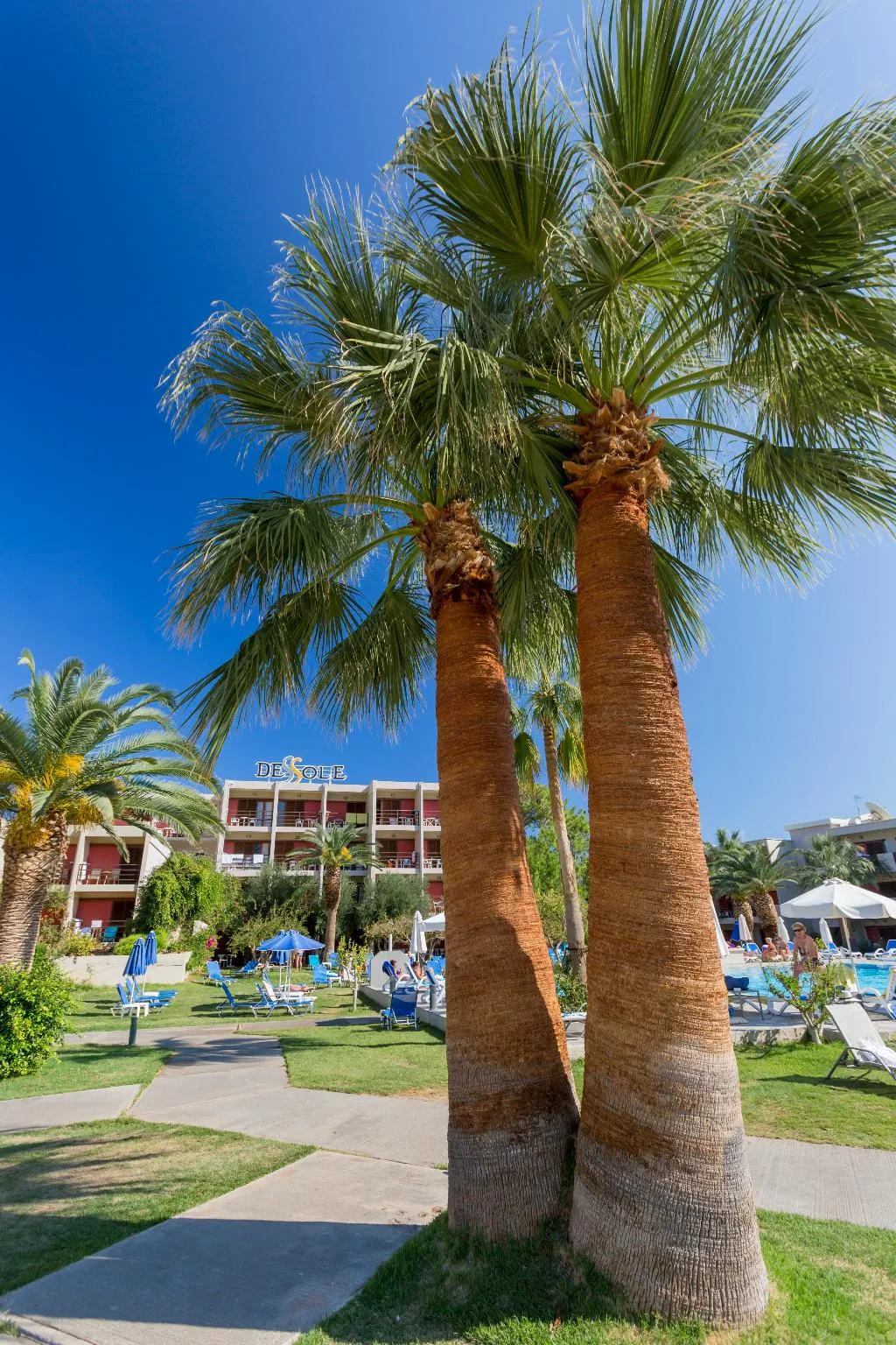General view, Dessole Malia Beach, Crete