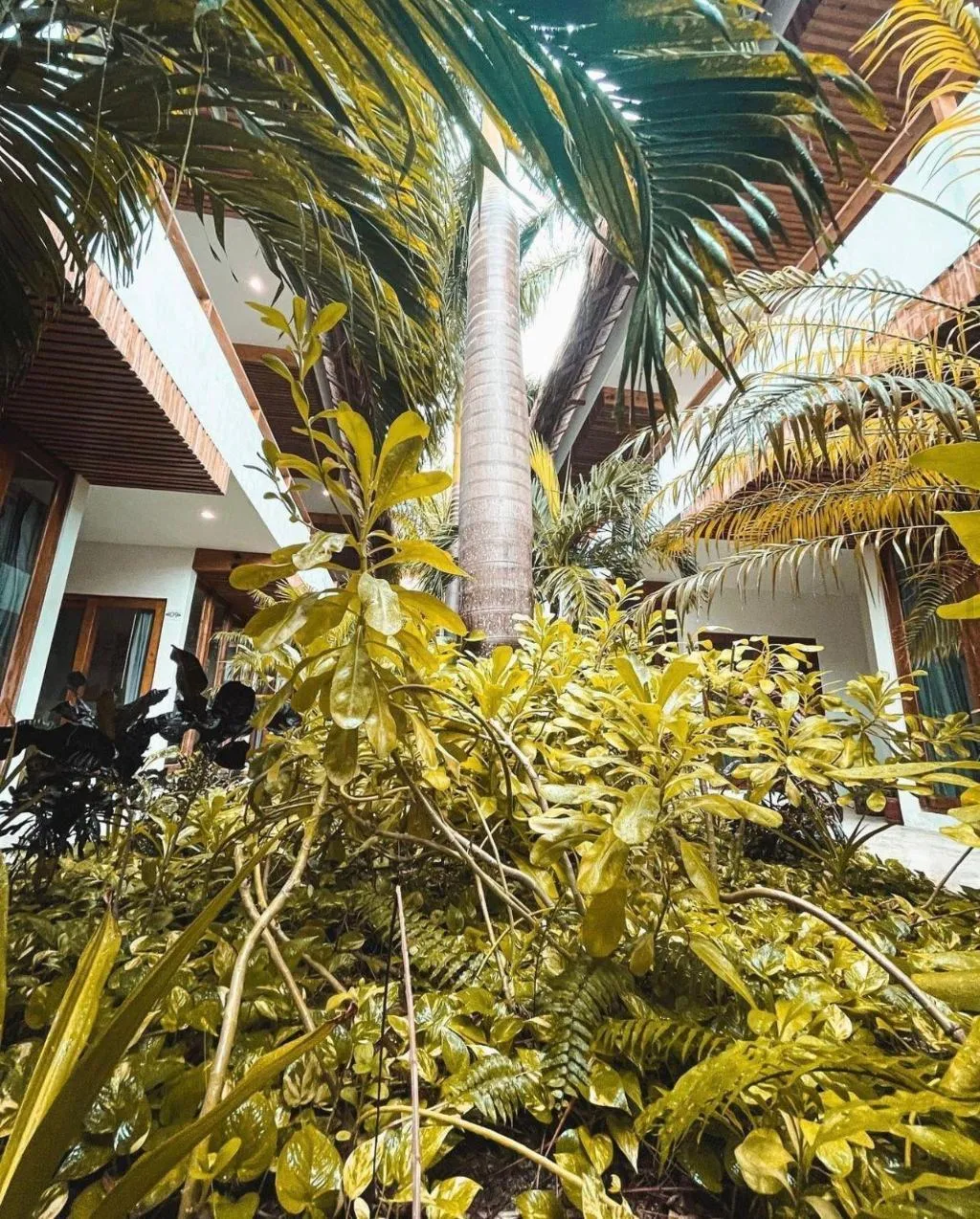 General view, Casa Margot, Cancun Area