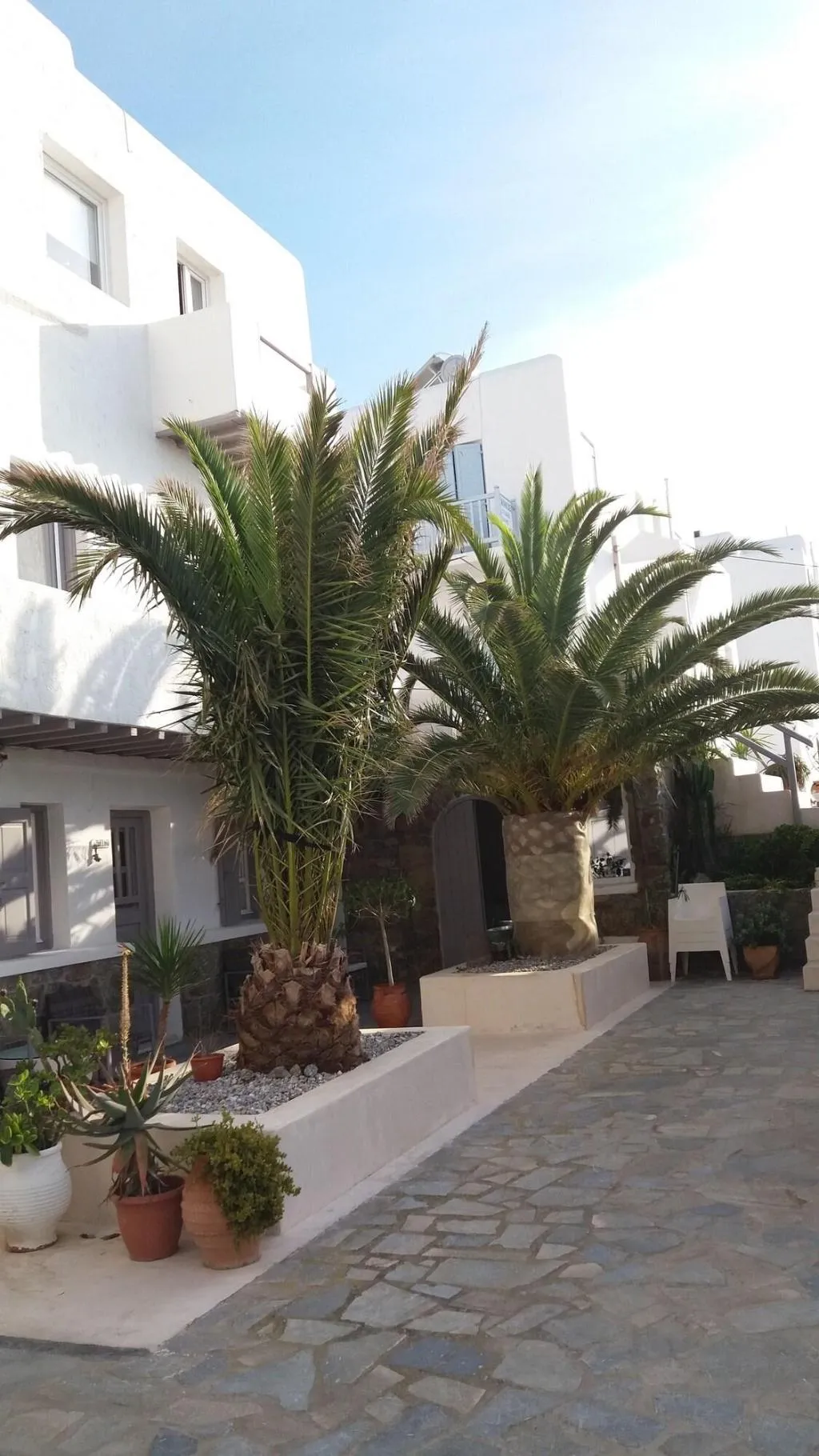 General view, Manos Rooms, Mykonos