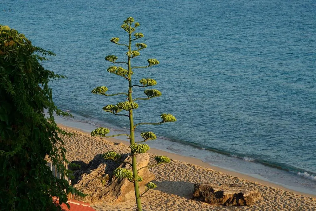 Beach, Minas Studios, Kefallinia
