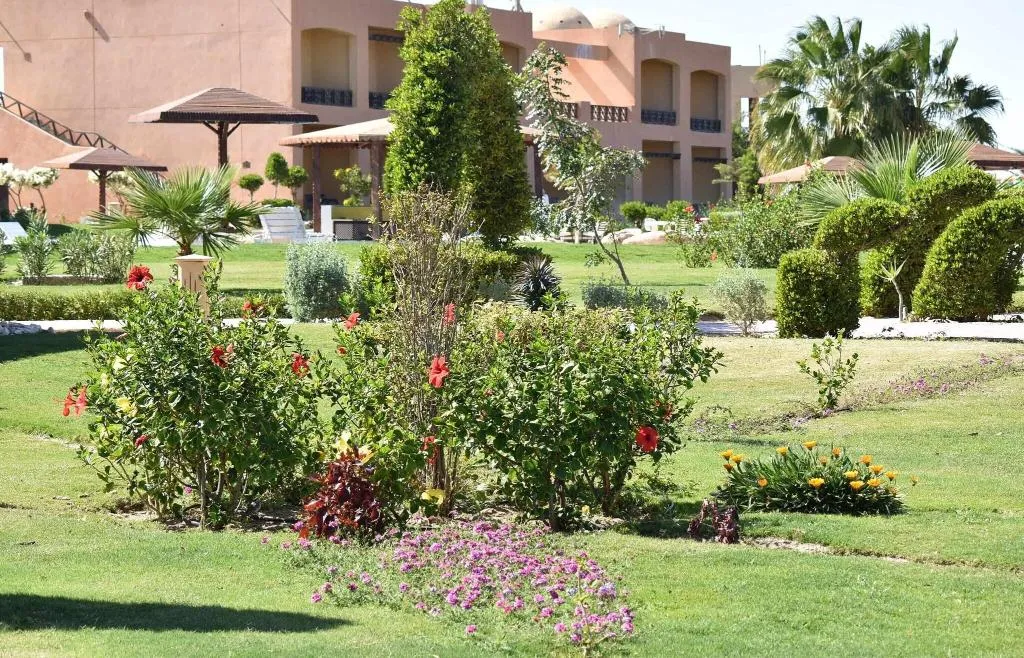 General view, Wadi Lahmy Azur Resort, Red Sea Riviera