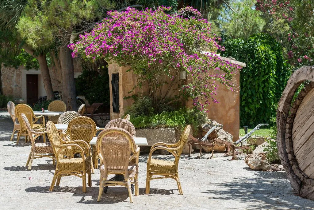 Terrace, Rural Son Jorda, Majorca