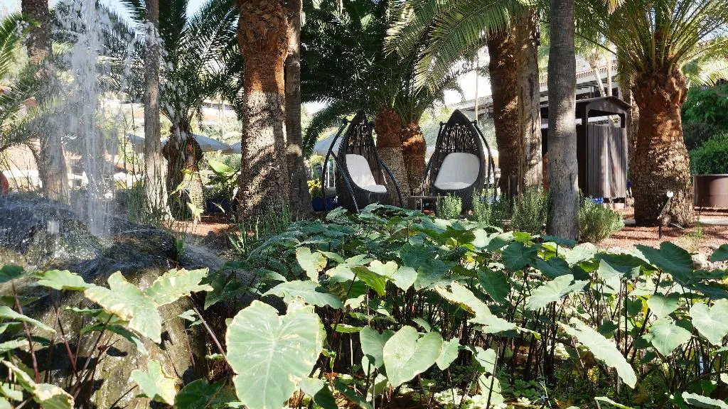 QUADRUPLE STANDARD Room, Parque Tropical, Gran Canaria