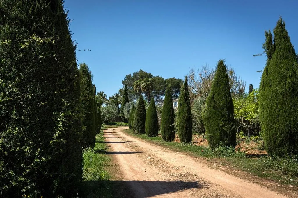 General view, Finca Son Miranda, Majorca