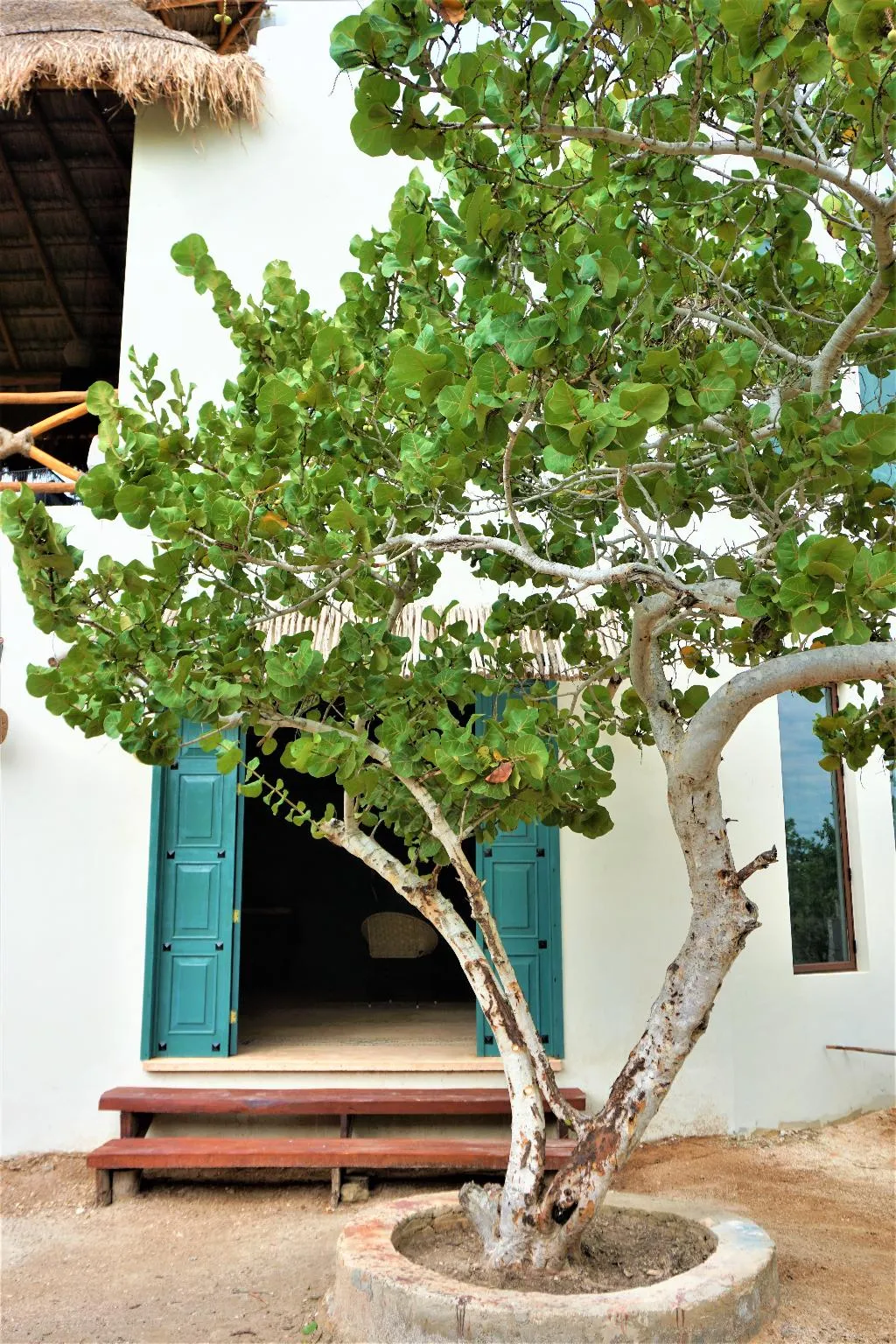 General view, La Puerta Azul Beachfront - Adults Only, Cancun Area