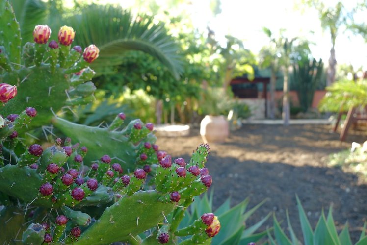 B&B Templi e Arte - Agrigento -, Catania