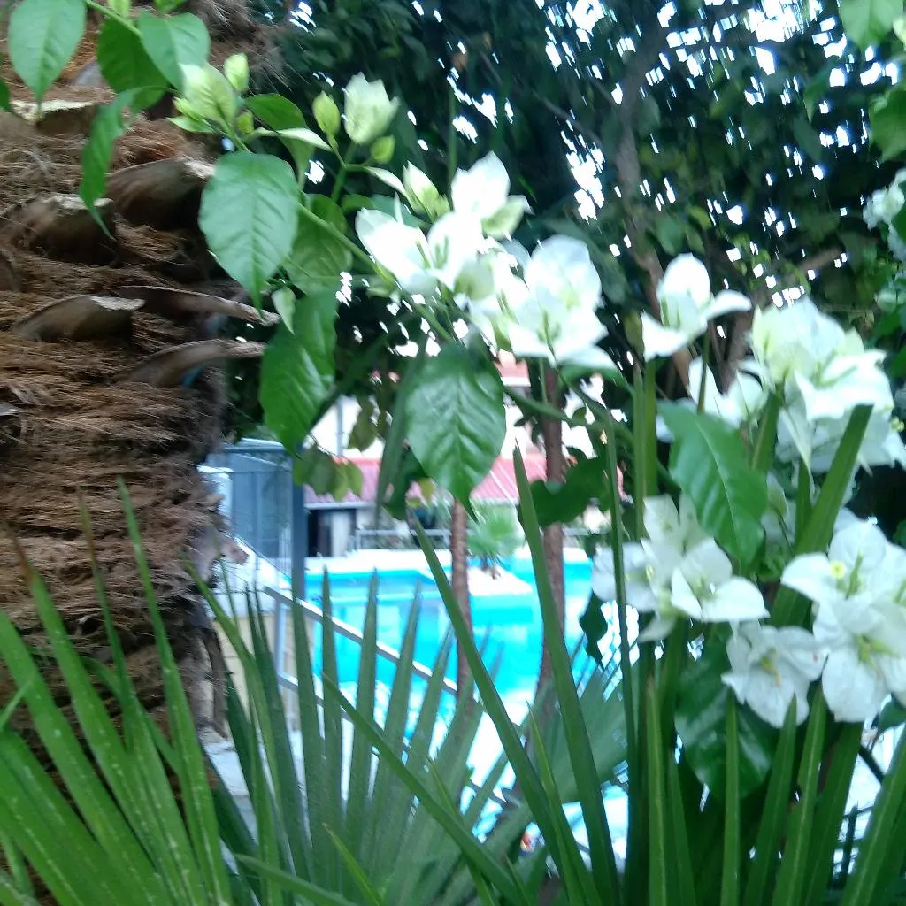 Pool, Aragorn Hotel, Corfu