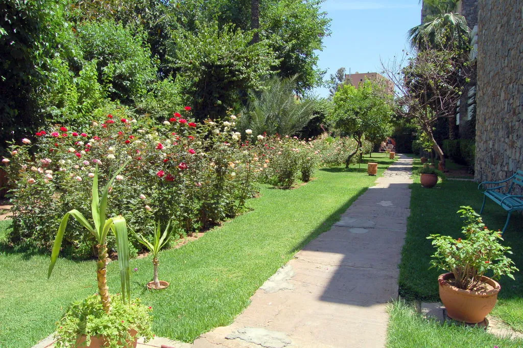 General view, Amine, Marrakech