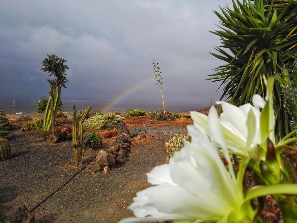 General view, Casa Rural Los Ajaches, Lanzarote