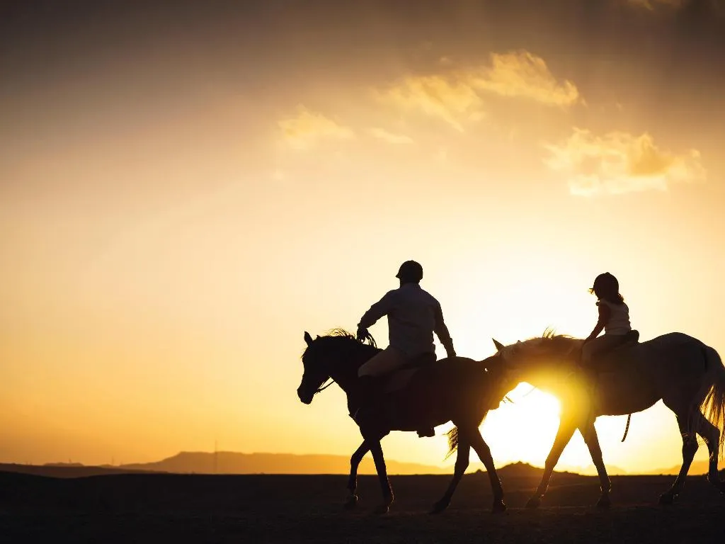 Sports and Entertainment, Mövenpick Sharm El Sheikh, Red Sea Riviera