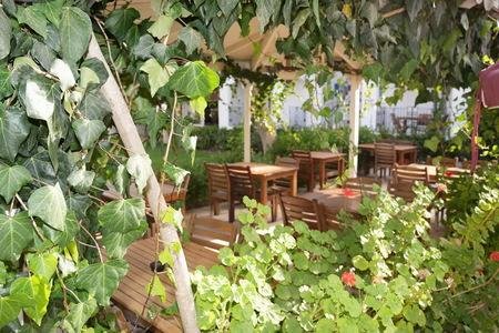 Villa Nergis Apartments, Bodrum