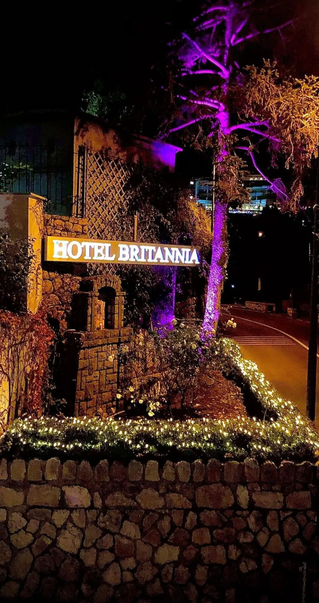 General view, Hotel Britannia, Naples