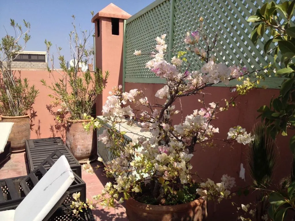 Terrace, Riad Mariana, Marrakech