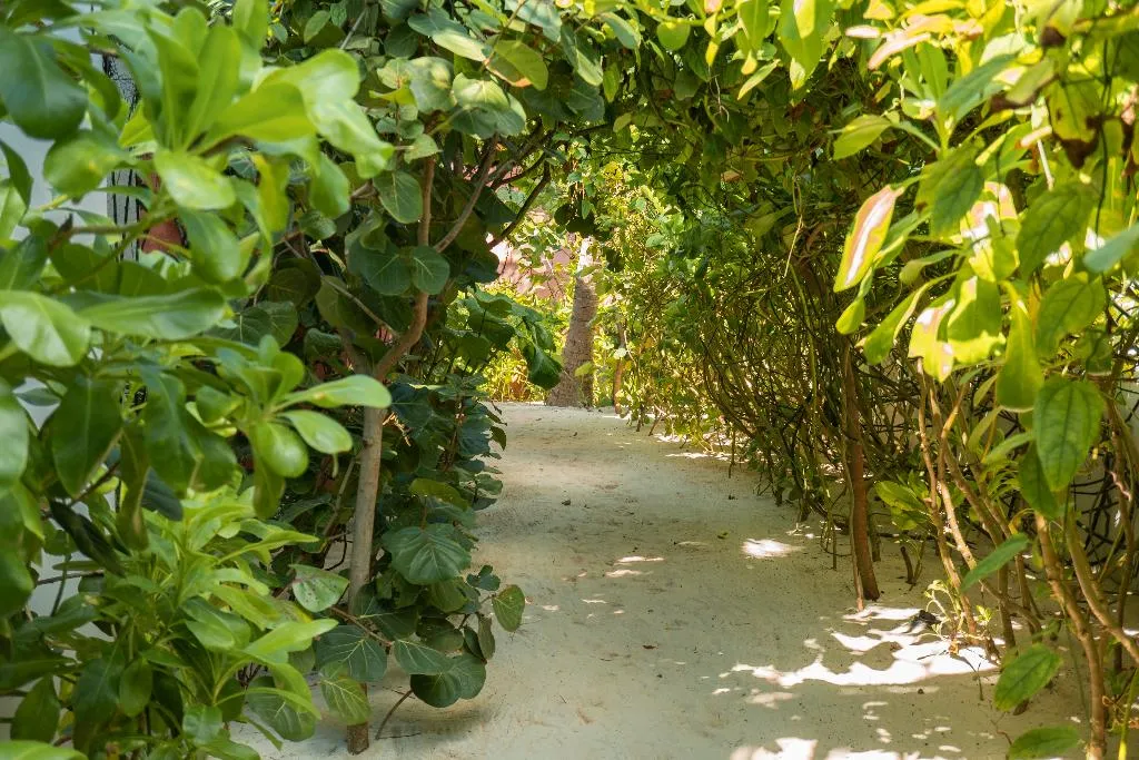 General view, Tago Tulum by G Hotels, Cancun Area