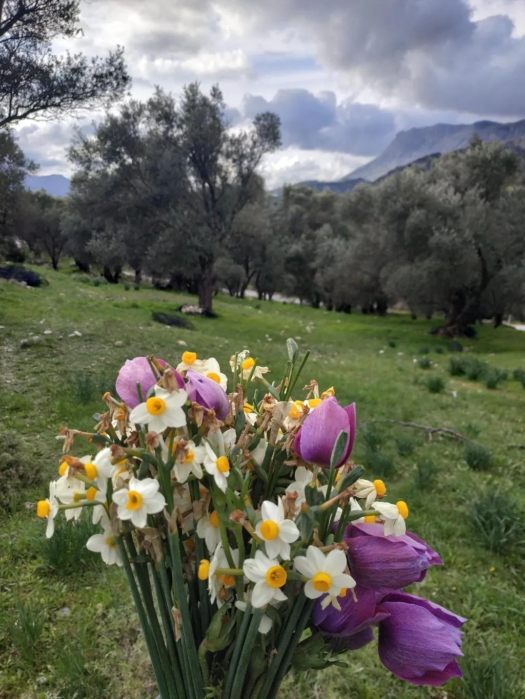 Sports and Entertainment, Windy Place, Crete