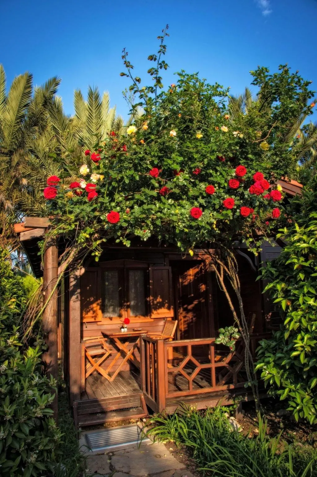 Room, Azur Hotel Çral, Antalya