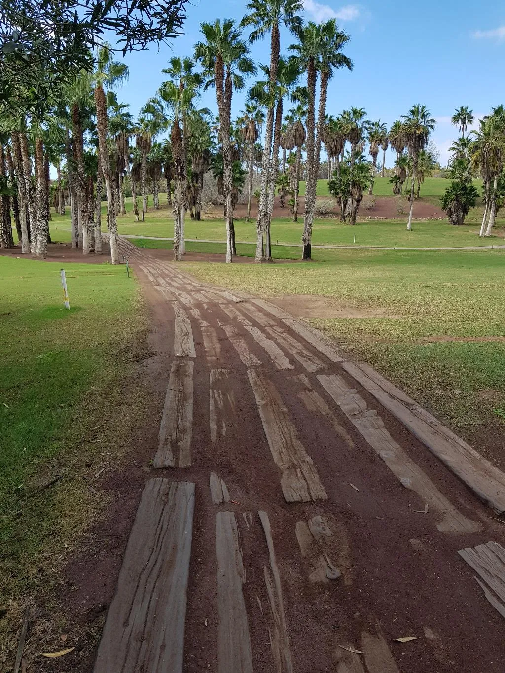 Sports and Entertainment, Las Madrigueras, Tenerife