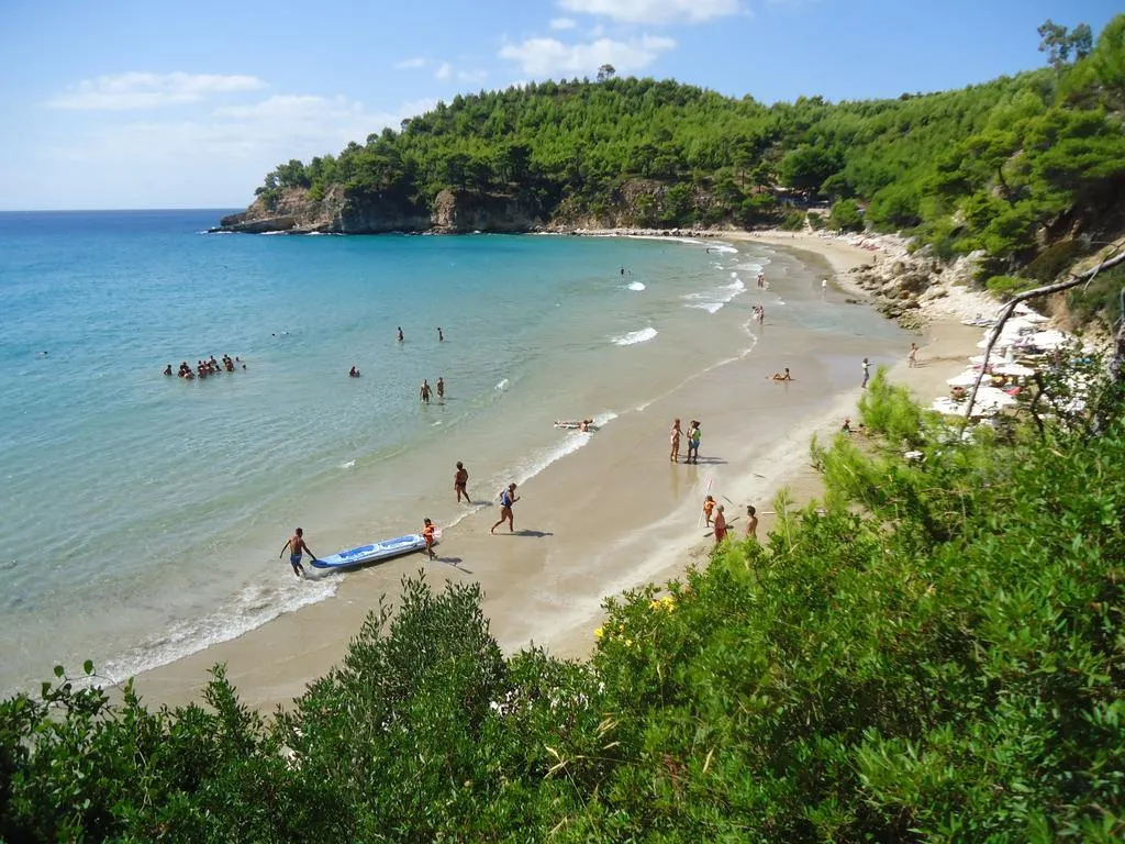 Beach, Alonissos Beach Bungalows & Suites Hotel, Skiathos