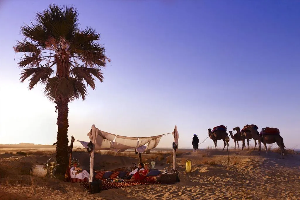 Beach, The Residence Tunis, Tunisia