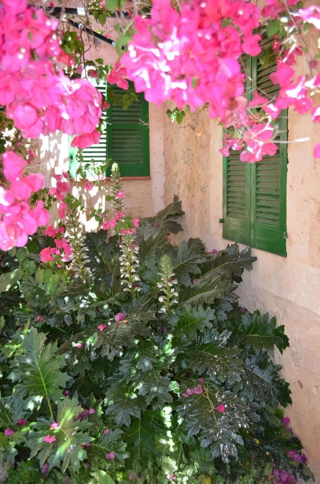 General view, Sa Casa Rotja, Majorca